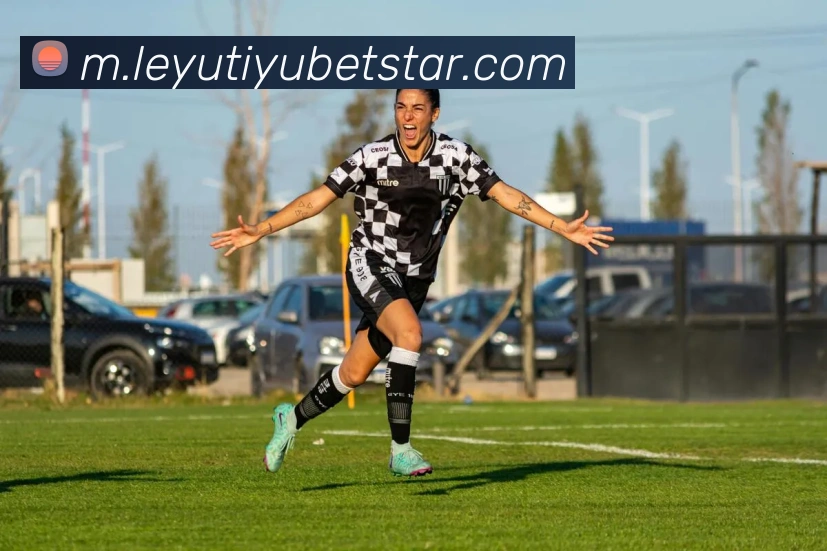 乐鱼体育平台生态图