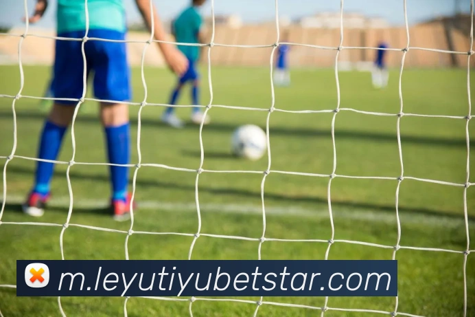 乐鱼体育APP 封面图